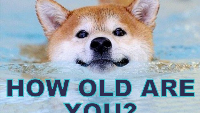 We Know Which GIF Will Make You Laugh Based On Your Age